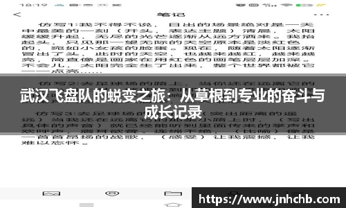 武汉飞盘队的蜕变之旅：从草根到专业的奋斗与成长记录